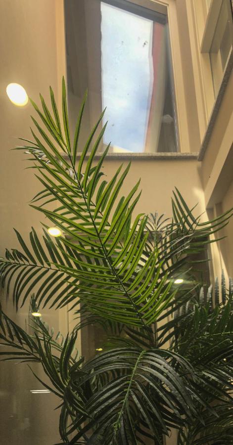 Rua Grande Hotel Viana do Castelo Dış mekan fotoğraf